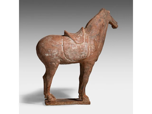 A chinese pottery figure of a horse, tang dynasty, h 31,5 - l 28,5 cm (+) - afbeelding 5 van  10