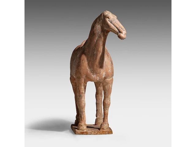 A chinese pottery figure of a horse, tang dynasty, h 31,5 - l 28,5 cm (+) - afbeelding 7 van  10