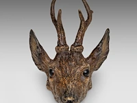 A cold-painted vienna bronze deer head 11.5 cm. (4.53 in.) - afbeelding 2 van  8