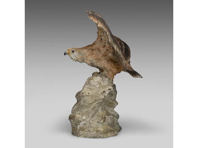 A cold-painted vienna bronze eagle on a rock 30.5 x 42 cm. (12.00 x 16.53 in.) - afbeelding 3 van  7
