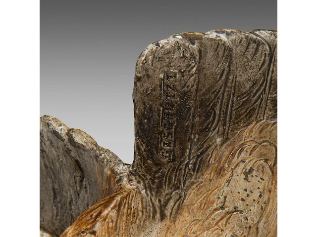 A cold-painted vienna bronze eagle on a rock 30.5 x 42 cm. (12.00 x 16.53 in.) - afbeelding 7 van  7
