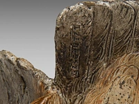 A cold-painted vienna bronze eagle on a rock 30.5 x 42 cm. (12.00 x 16.53 in.) - afbeelding 7 van  7