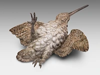 A cold-painted vienna bronze woodcock 10 x 21 cm. (3.94 x 8.26 in.) - afbeelding 2 van  5