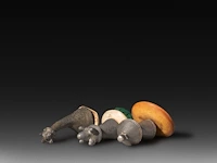 A collection of 4 tribal kalasha and a telsum phallic necklace, konso people, ethiopia, l 17 cm (tallest) - afbeelding 2 van  11