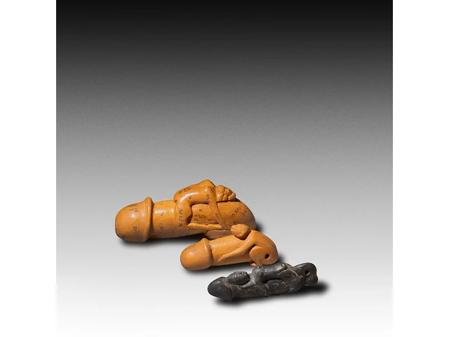 A collection of 9 thai palad khik phallic amulets, h 17 cm (tallest) - afbeelding 6 van  7