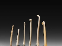 A collection of bacula of fox, badger, stone marten and raccoon, l 9 cm (tallest) - afbeelding 3 van  4