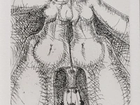 A collection of etchings, etching plates and one drawing (10) - afbeelding 14 van  40