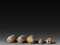 A collection of four ivory carved phalluses and one in bone, h 9 cm - ø 3,5 cm - 95g / h 8,5 cm - ø 3,5 cm - 86g / h 7,5 cm - ø 3,7 cm - 81g / h 7,3 cm - ø 1,7 cm - 32g (+) - afbeelding 5 van  6