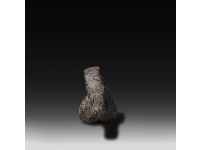 A collection of southeast asian fertility items, bhutan and others, h 23,5 cm (tallest) - afbeelding 7 van  8