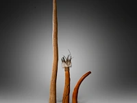 A collection of various penis sheaths, indonesia, and a papuan apron, l 72 cm (the largest sheath) - afbeelding 7 van  7