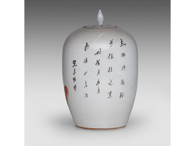 A group of chinese famille rose ware, incl. a ‘buddhist lion’ ginger jar and a series of two fine plates, 19thc and 18thc, tallest h 34 cm (11) - afbeelding 5 van  20