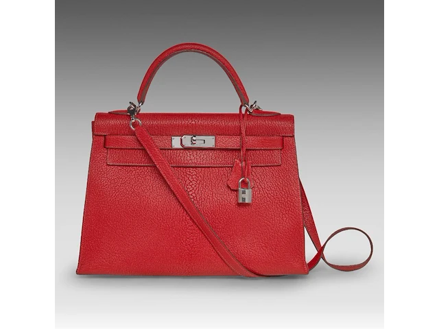 A hermès kelly 32 chèvre de coromandel sellier handbag with palladium ck hardware 23 x 32 x 12 cm. (9.06 x 12.59 x 4.71 in.) - afbeelding 1 van  21