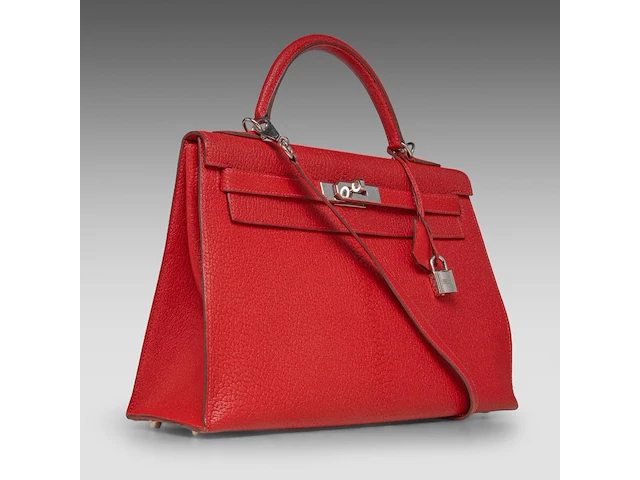 A hermès kelly 32 chèvre de coromandel sellier handbag with palladium ck hardware 23 x 32 x 12 cm. (9.06 x 12.59 x 4.71 in.) - afbeelding 12 van  21