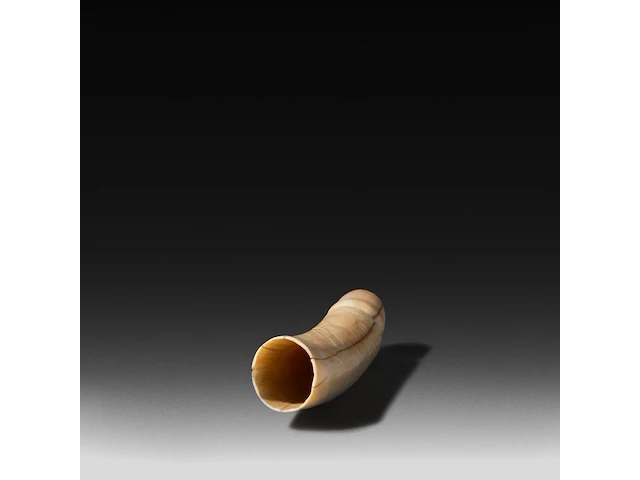 A japanese ivory dildo, 19thc, h 22,5 cm - ø 4,5 cm - 416g (+) - afbeelding 5 van  5