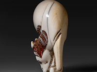 A japanese ivory netsuke of a horse, meiji period (1868-1912), h 5,8 cm - w 4,5 cm - d 2,2 cm - 32g (+) - afbeelding 3 van  7