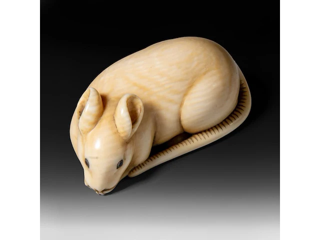 A japanese ivory netsuke of a rat, signed tomokazu (?), edo period (19thc), h 2 cm - w 5 cm - d 2,5 cm - 24g (+) - afbeelding 1 van  7