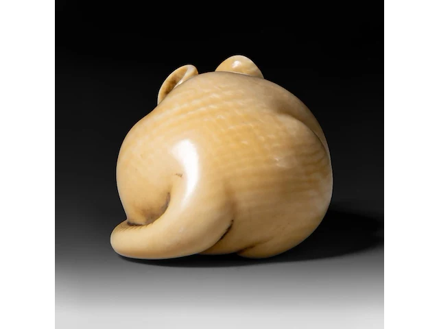 A japanese ivory netsuke of a rat, signed tomokazu (?), edo period (19thc), h 2 cm - w 5 cm - d 2,5 cm - 24g (+) - afbeelding 3 van  7