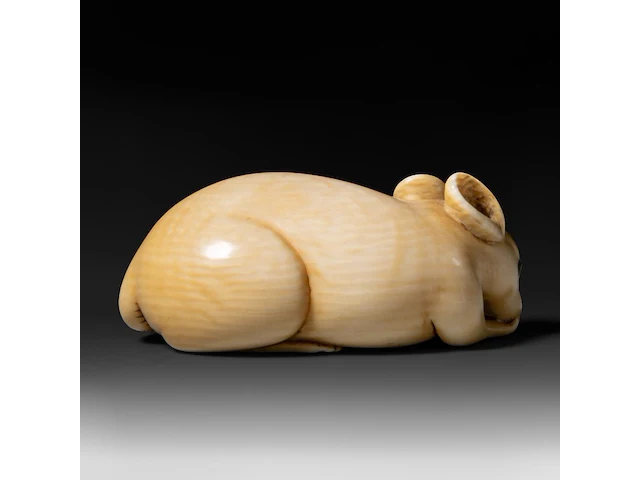 A japanese ivory netsuke of a rat, signed tomokazu (?), edo period (19thc), h 2 cm - w 5 cm - d 2,5 cm - 24g (+) - afbeelding 4 van  7