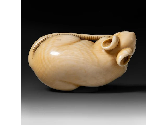 A japanese ivory netsuke of a rat, signed tomokazu (?), edo period (19thc), h 2 cm - w 5 cm - d 2,5 cm - 24g (+) - afbeelding 6 van  7