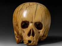 A japanese ivory netsuke of a skull, edo period (18th/19thc), h 3,7 cm - w 4,5 cm - d 3,4 cm - 51g (+)