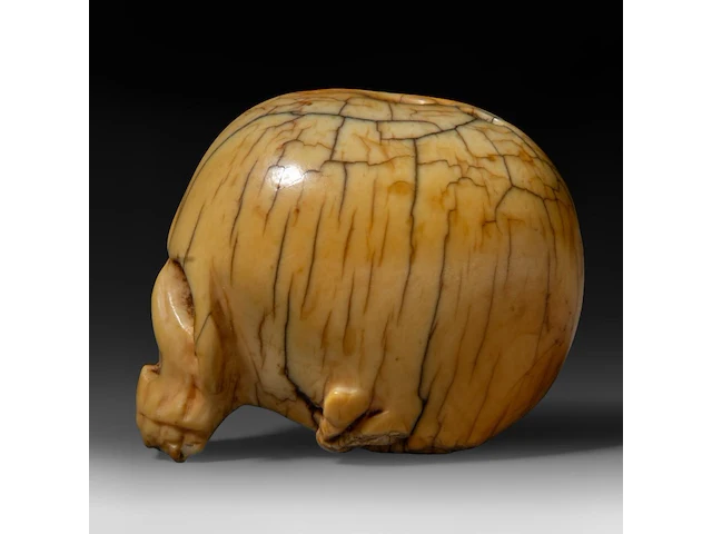 A japanese ivory netsuke of a skull, edo period (18th/19thc), h 3,7 cm - w 4,5 cm - d 3,4 cm - 51g (+) - afbeelding 3 van  7