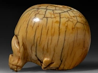 A japanese ivory netsuke of a skull, edo period (18th/19thc), h 3,7 cm - w 4,5 cm - d 3,4 cm - 51g (+) - afbeelding 3 van  7