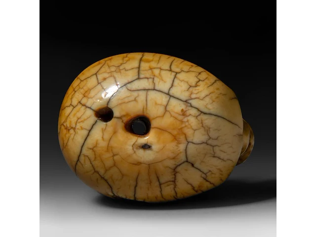 A japanese ivory netsuke of a skull, edo period (18th/19thc), h 3,7 cm - w 4,5 cm - d 3,4 cm - 51g (+) - afbeelding 6 van  7