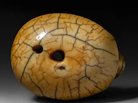 A japanese ivory netsuke of a skull, edo period (18th/19thc), h 3,7 cm - w 4,5 cm - d 3,4 cm - 51g (+) - afbeelding 6 van  7