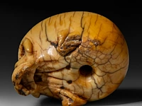 A japanese ivory netsuke of a skull, edo period (18th/19thc), h 3,7 cm - w 4,5 cm - d 3,4 cm - 51g (+) - afbeelding 7 van  7