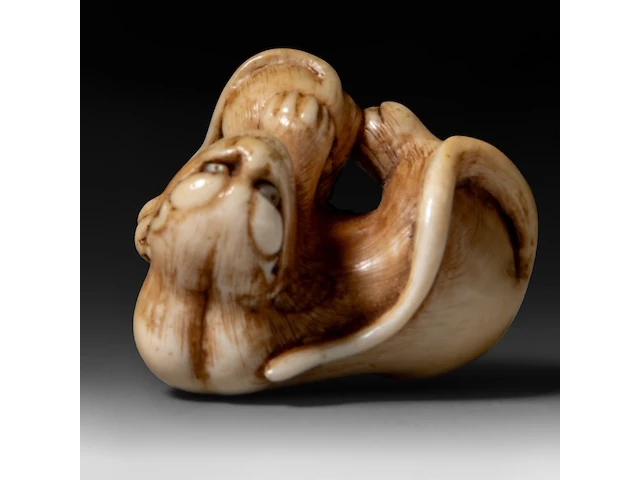 A japanese ivory netsuke of a tiger with a cub, signed, edo/meiji period (19thc), h 2,8 cm - w 4 cm - d 3 cm - 21g (+) - afbeelding 6 van  7