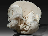 A japanese ivory okimono of a lady cleaning a rakan's ear, signed, meiji period (1868-1912), h 12,5 cm (+) - afbeelding 7 van  8