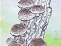 A japanese painting, colour on paper, 'reishi (lingzhi mushroom)', framed 66 x 74,5 cm - a japanese nishijin-ori brocade, framed 76 x 87 cm - afbeelding 7 van  9