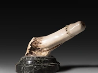 A large carved horn phallic press-papier, on a marble base, ca. 1900, h 13,5 cm (total) - l 17 cm (the phallus)