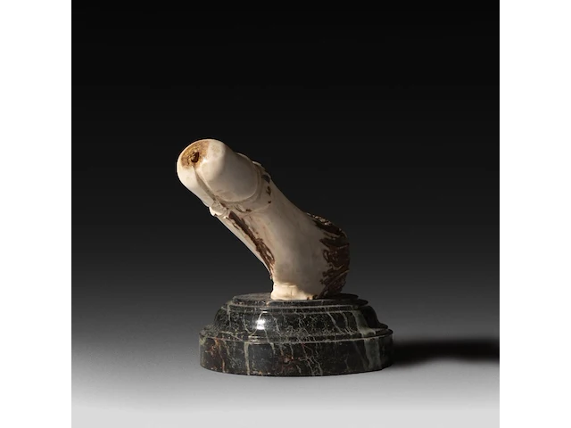 A large carved horn phallic press-papier, on a marble base, ca. 1900, h 13,5 cm (total) - l 17 cm (the phallus) - afbeelding 4 van  5