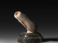 A large carved horn phallic press-papier, on a marble base, ca. 1900, h 13,5 cm (total) - l 17 cm (the phallus) - afbeelding 4 van  5