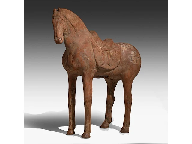 A large chinese pottery figure of a horse, tang dynasty, h 49,3 - l 44 cm (+) - afbeelding 1 van  11
