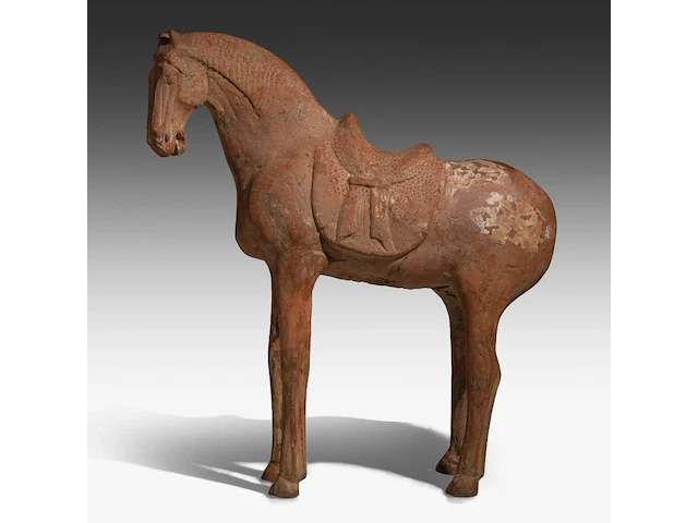 A large chinese pottery figure of a horse, tang dynasty, h 49,3 - l 44 cm (+) - afbeelding 4 van  11