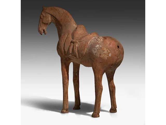 A large chinese pottery figure of a horse, tang dynasty, h 49,3 - l 44 cm (+) - afbeelding 5 van  11