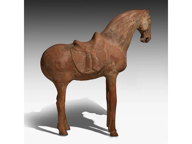 A large chinese pottery figure of a horse, tang dynasty, h 49,3 - l 44 cm (+) - afbeelding 7 van  11