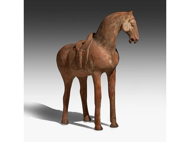 A large chinese pottery figure of a horse, tang dynasty, h 49,3 - l 44 cm (+) - afbeelding 8 van  11