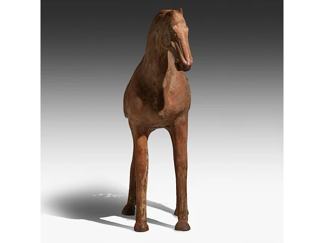 A large chinese pottery figure of a horse, tang dynasty, h 49,3 - l 44 cm (+) - afbeelding 9 van  11