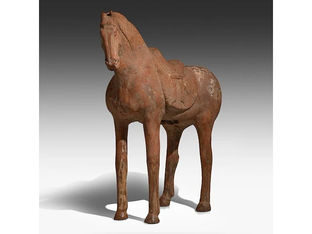 A large chinese pottery figure of a horse, tang dynasty, h 49,3 - l 44 cm (+) - afbeelding 10 van  11
