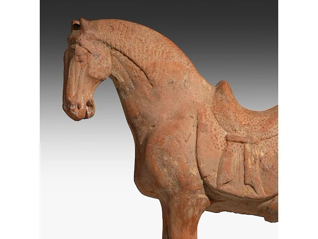 A large chinese pottery figure of a horse, tang dynasty, h 49,3 - l 44 cm (+) - afbeelding 11 van  11