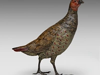 A large cold-painted vienna bronze partridge by franz xavier bergmann (1861-1936), ca. 1900 22 cm. (8.66 in.)