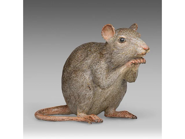 A large cold-painted vienna bronze rat by franz xavier bergmann (1861-1936) 17 cm. (6.69 in.) - afbeelding 1 van  7