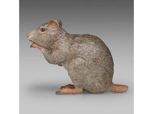 A large cold-painted vienna bronze rat by franz xavier bergmann (1861-1936) 17 cm. (6.69 in.) - afbeelding 4 van  7