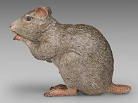 A large cold-painted vienna bronze rat by franz xavier bergmann (1861-1936) 17 cm. (6.69 in.) - afbeelding 4 van  7
