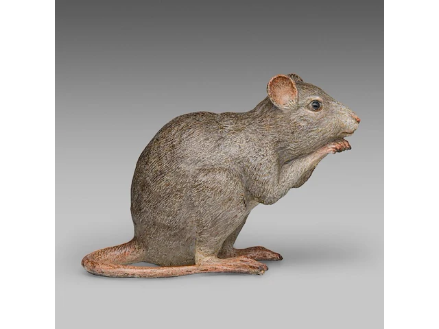 A large cold-painted vienna bronze rat by franz xavier bergmann (1861-1936) 17 cm. (6.69 in.) - afbeelding 6 van  7