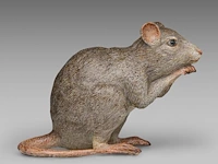 A large cold-painted vienna bronze rat by franz xavier bergmann (1861-1936) 17 cm. (6.69 in.) - afbeelding 6 van  7