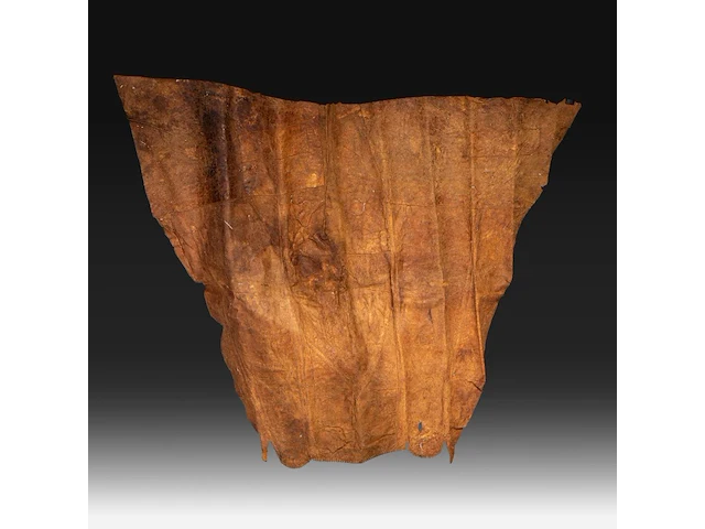 A leather orkila woman's circumcision skirt, masaï people, kenya - afbeelding 6 van  6